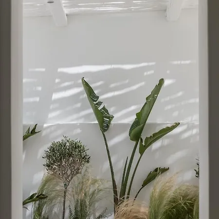 Arocaria Mykonos 5*